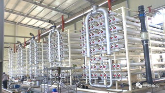 平和縣自來水廠改擴建工程進入最后沖刺,預計本月底具備全面通水條件