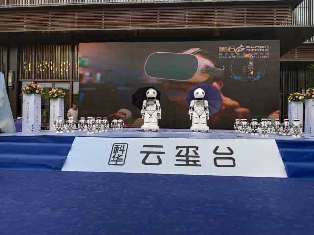 機器人年會服務(wù)天團 2020文化用品創(chuàng)意策劃方案